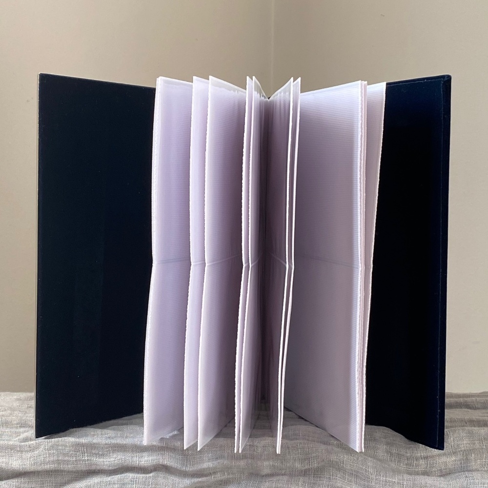 Sheridan Nickel-plated Double Photo Album BNIB - Picture 4 of 16